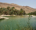 Klassiek Oman met privégids - Wadi Bani Khalid