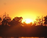 Zonsondergang Okavanga