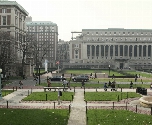New York University Campus