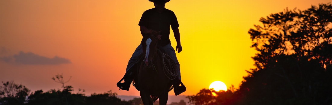 Belize Cowboy