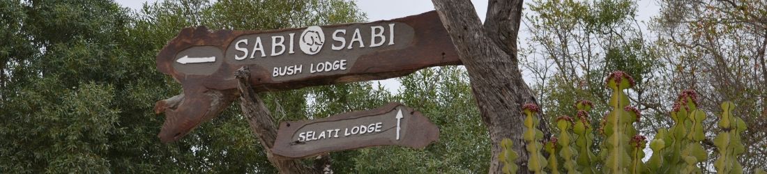 Top 5 safari's in Zuid-Afrika