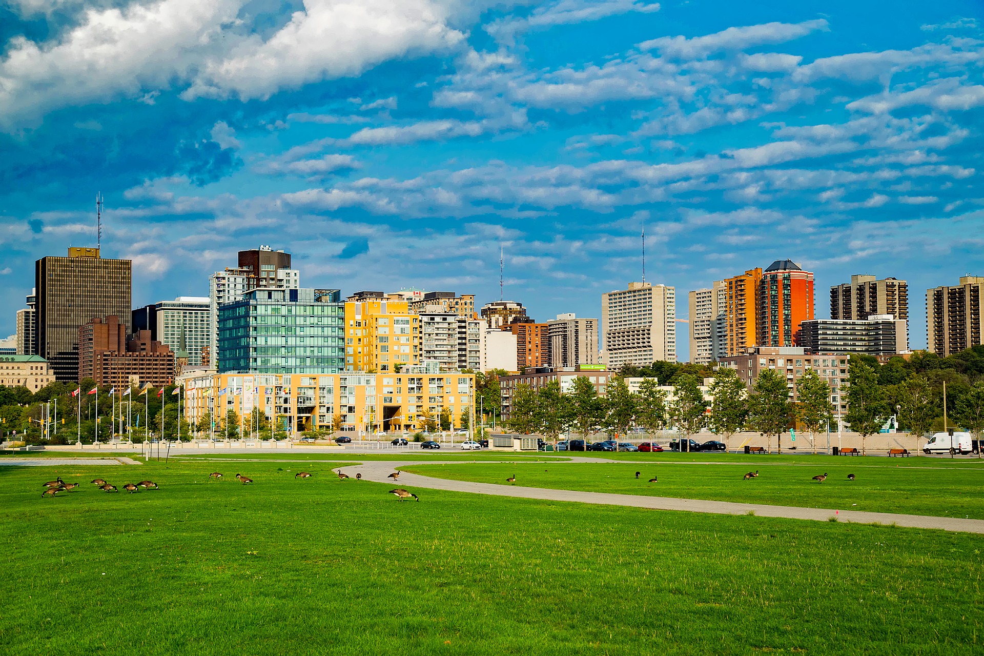 Ottawa Park Skyline