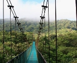 Monteverde - Hangbrug