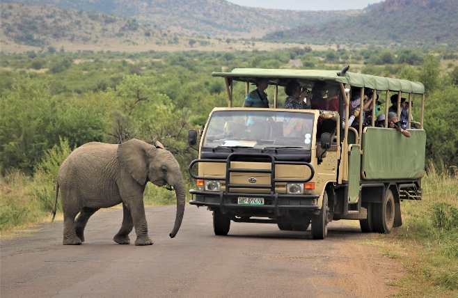 Pilanesberg Game Reserve