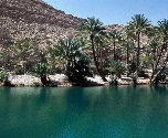 Op ontdekking door Oman - Wadi Bani Khalid