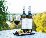 Grandola - omgeving wijn
