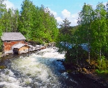 Authentieke vestigingsstadjes en prachtige natuur, Finland in één reis - Oulanka