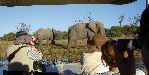 Chobe National park