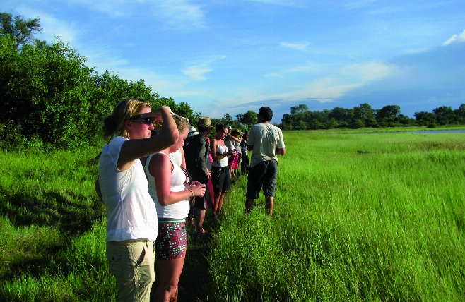 Okavango Delta walk
