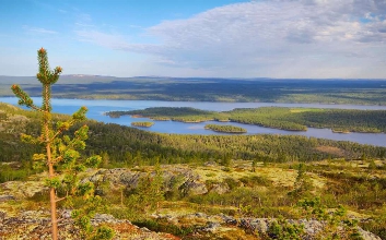 Authentieke vestigingsstadjes en prachtige natuur, Finland in één reis - Koli