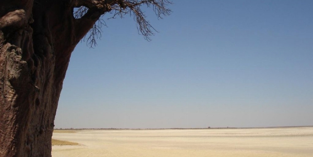 Makgadikgadi zoutvlaktes