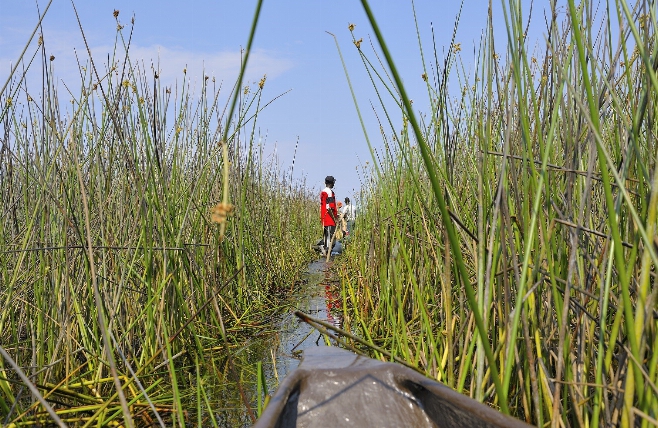 Okavango Delta 3