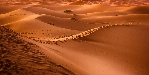 Marokko - Woestijn
