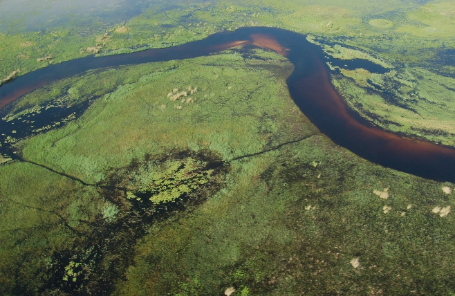 Okavanga river