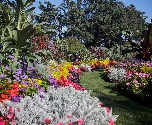 Vicoria Gardens