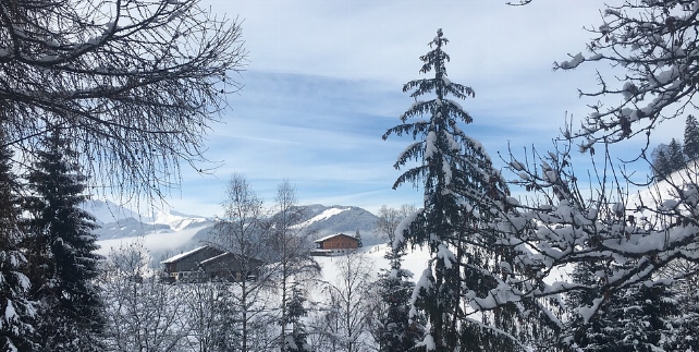 Alpbach winter