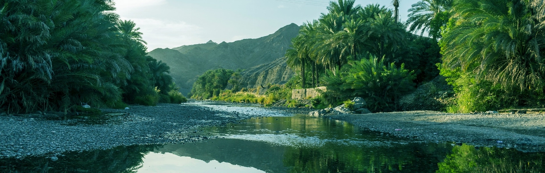 Oman - Wadi