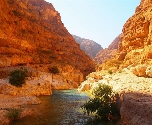 Op ontdekking door Oman - Wadi Shab
