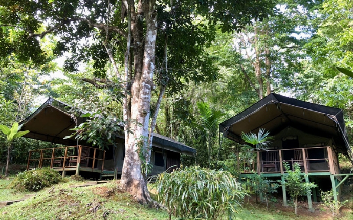 Rio Tica Safari Lodge - buitenkant tent3
