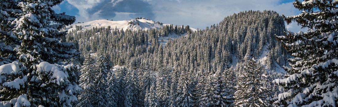 Zwitserland - Landscape snow