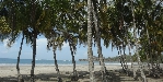 Playa Carillo
