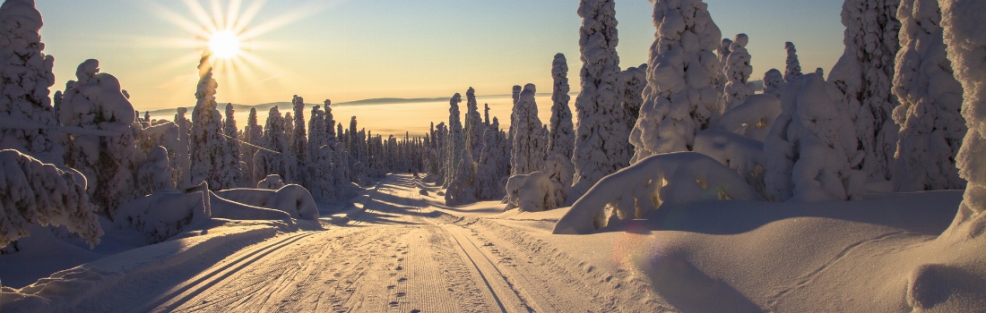 Finland - Sneeuwlandschap