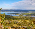 Authentieke vestigingsstadjes en prachtige natuur, Finland in één reis - Koli