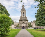 Blaithin - Trinity College