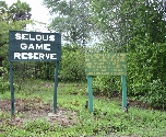 Selous1