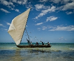 Zanzibar - Zeilboot