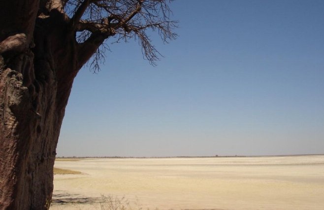 Makgadikgadi zoutvlaktes