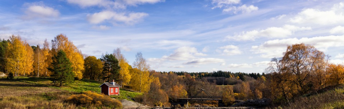 Finland - Bos landschap