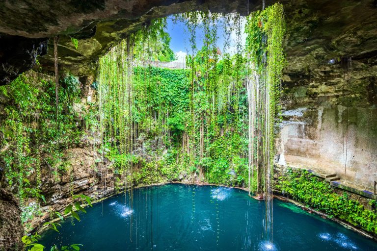 Cenote in Mexico met helder turquoise water, hangende lianen en weelderige groene vegetatie onder een rotsachtige opening met invallend zonlicht